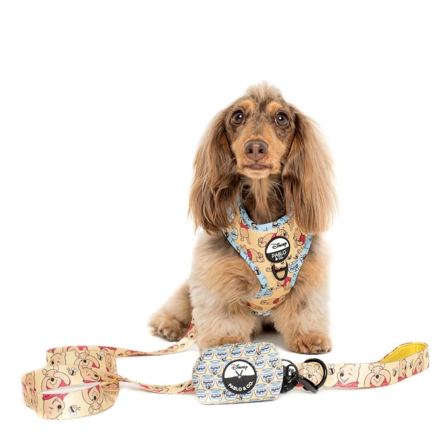 Winnie the Pooh & Bee's Adjustable Harness - Pooch Luxury