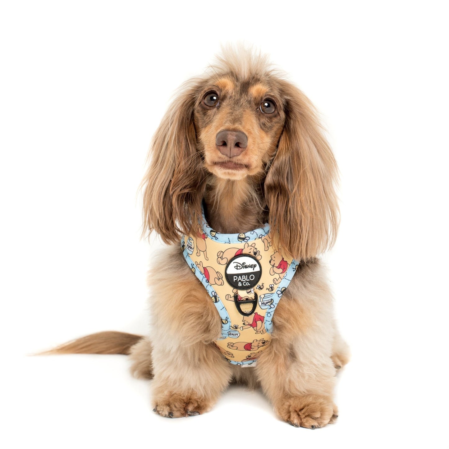Winnie the Pooh & Bee's Adjustable Harness - Pooch Luxury