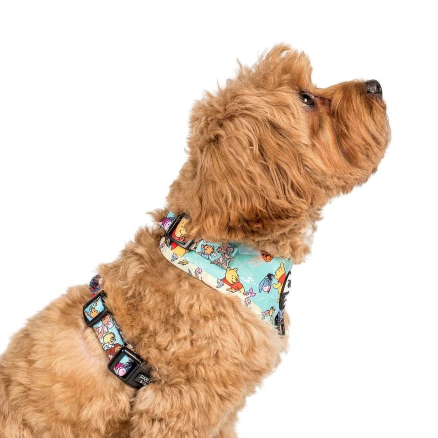 Winnie The Pooh & Forest Friends Adjustable Harness - Pooch Luxury