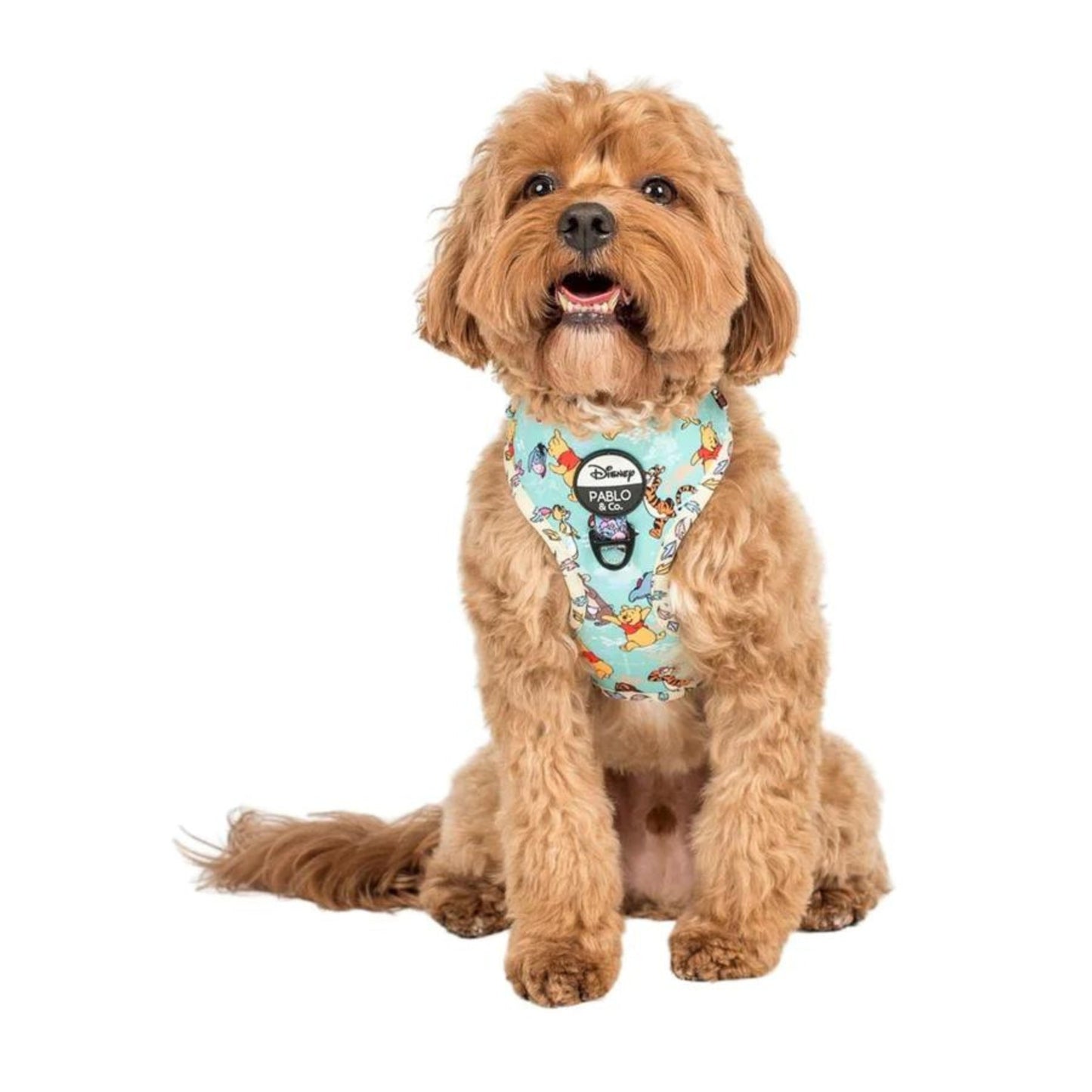 Winnie The Pooh & Forest Friends Adjustable Harness - Pooch Luxury