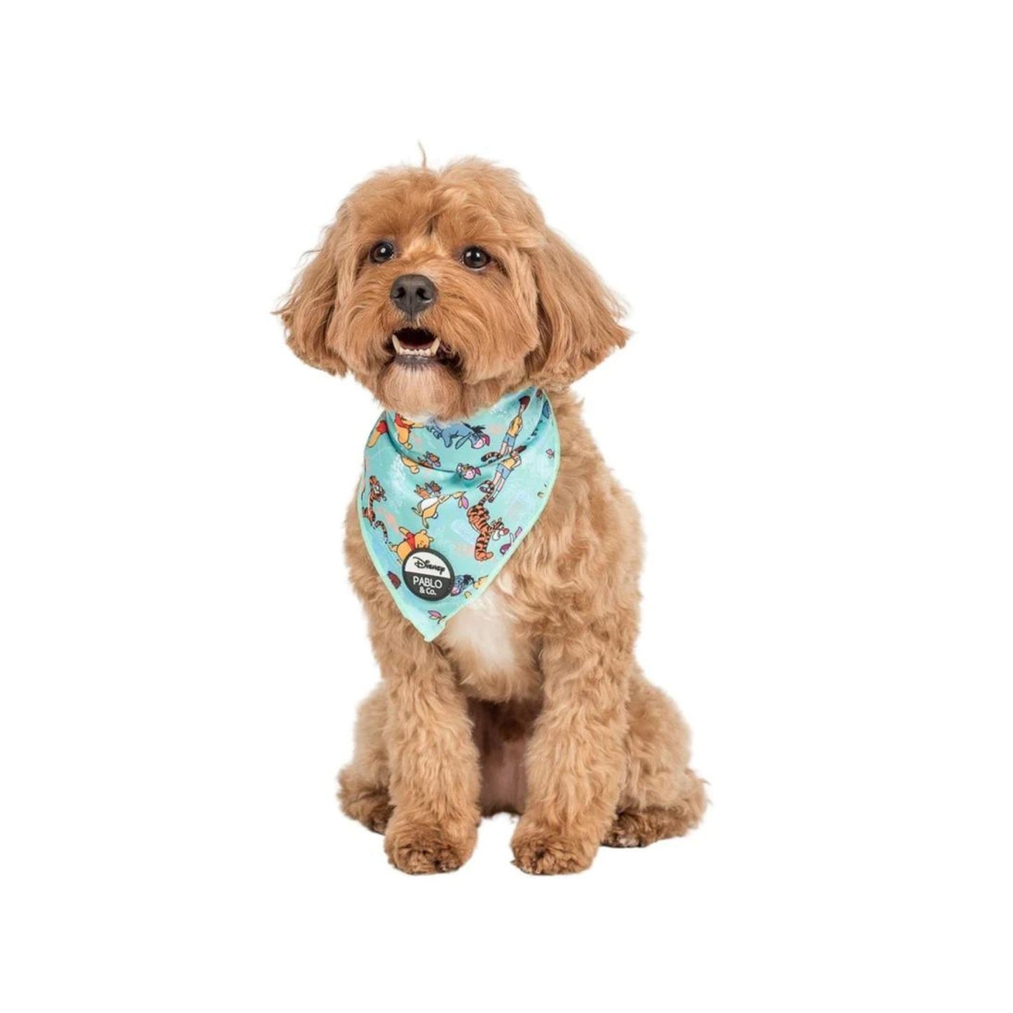 Winnie The Pooh & Friends Dog Bandana - Pooch Luxury