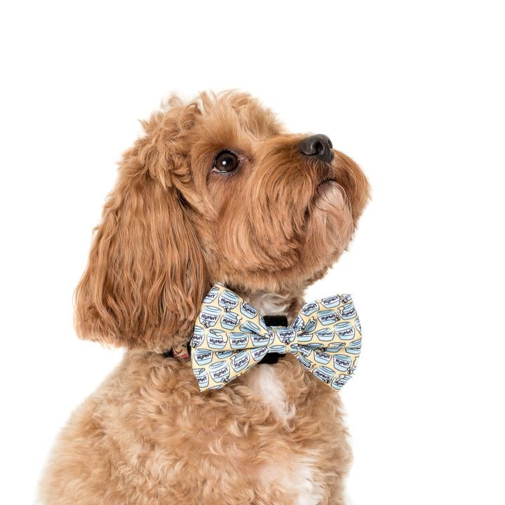 Winnie The Pooh Hunny Pot Bow Tie - Pooch Luxury