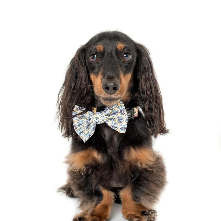 Winnie The Pooh Hunny Pot Bow Tie - Pooch Luxury