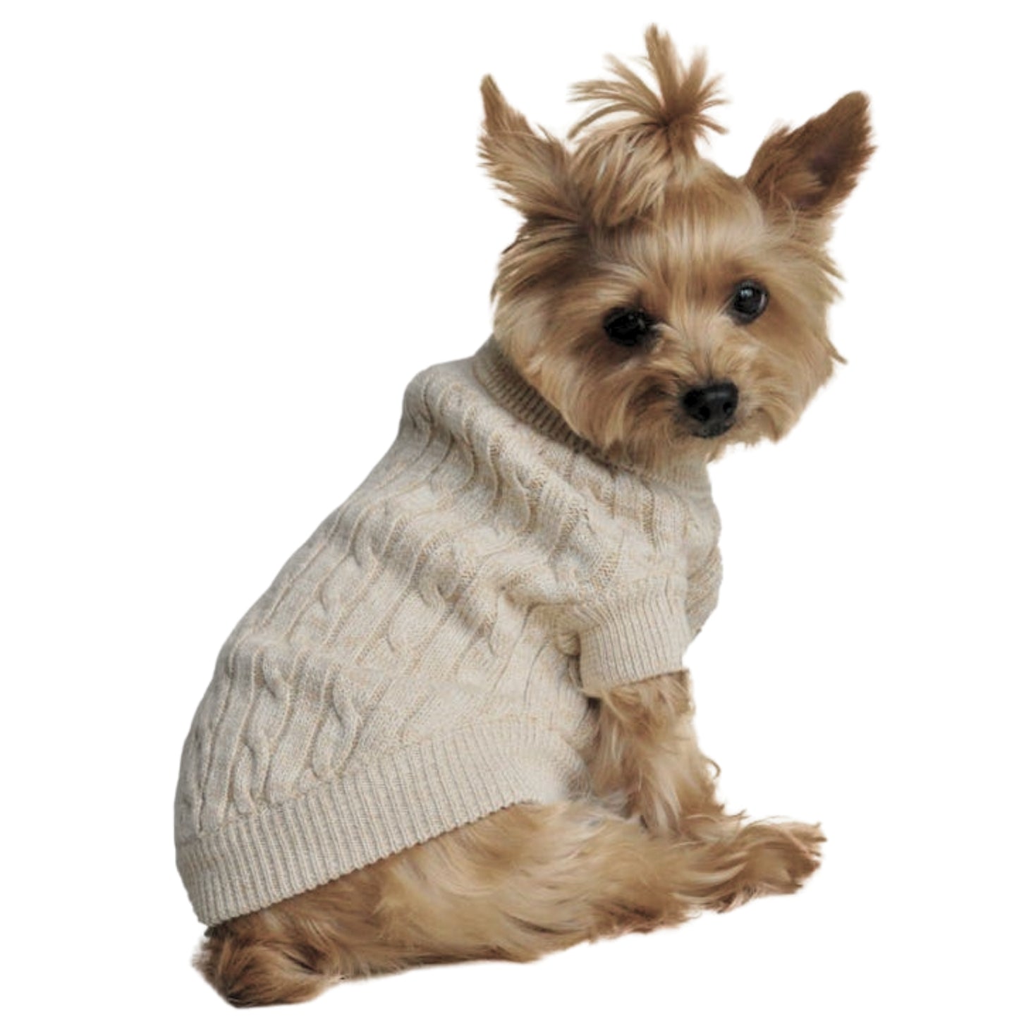 Combed Cotton Cable Knit Sweater - Oatmeal