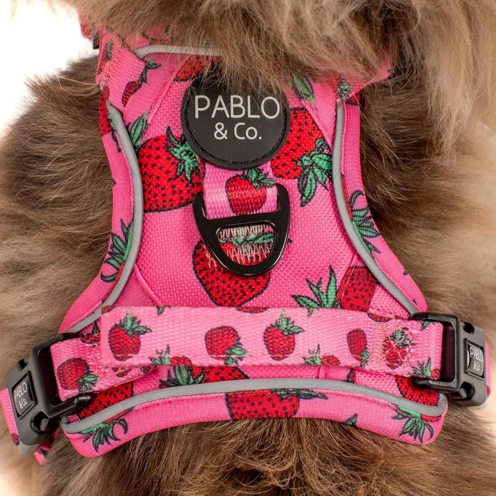 On Sale - Harnesses
