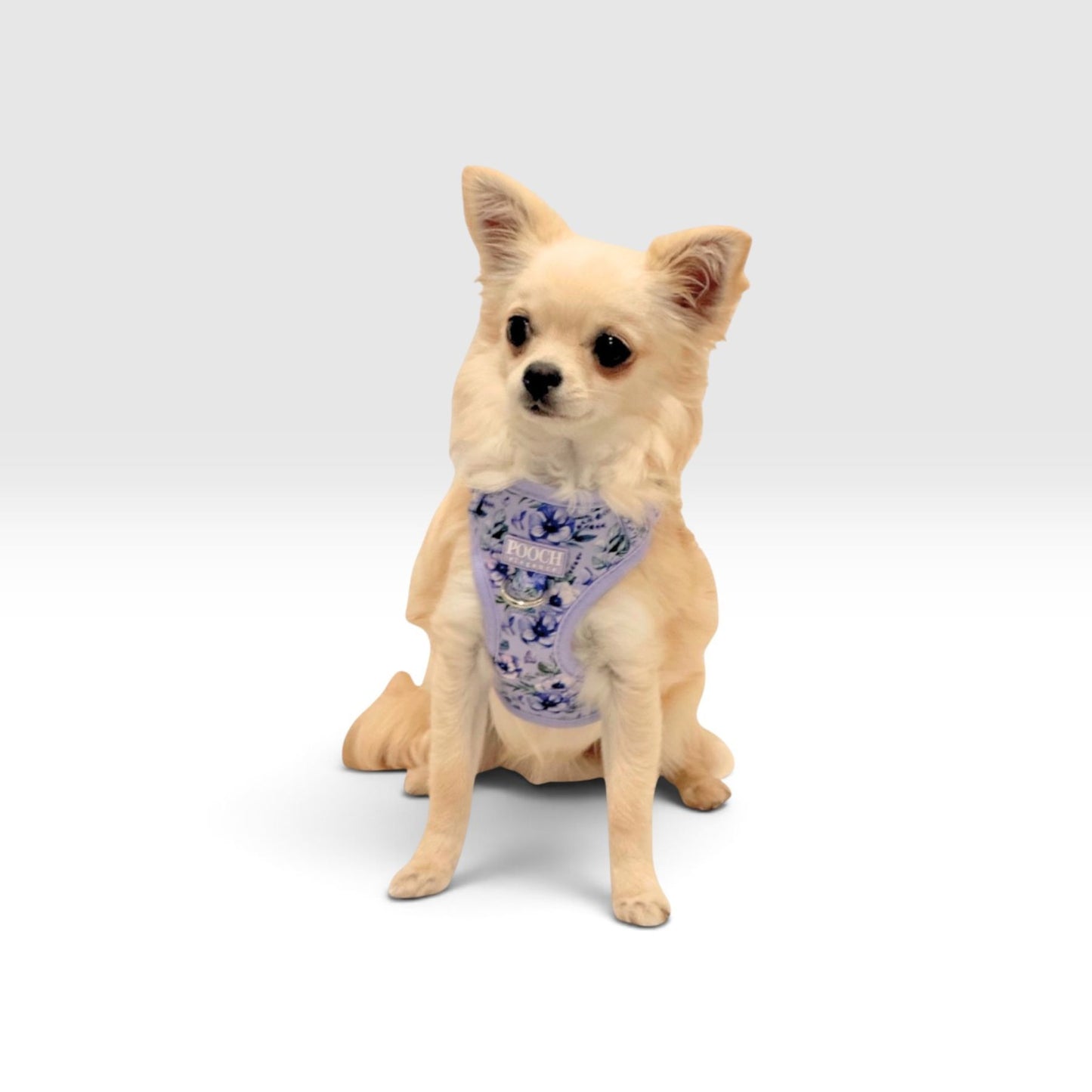 Lavender Lane Adjustable Dog Harness