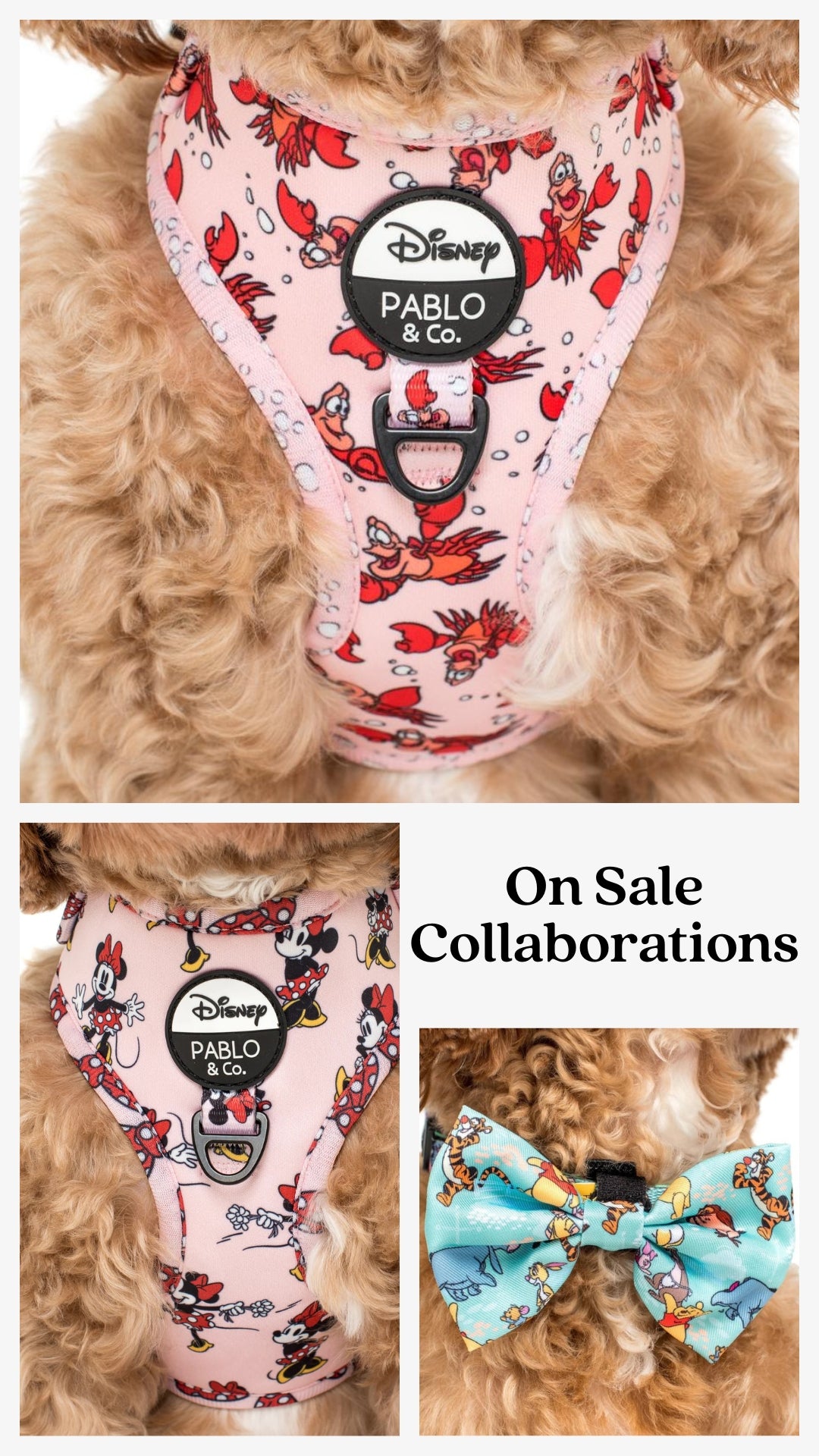 Pooch Luxury