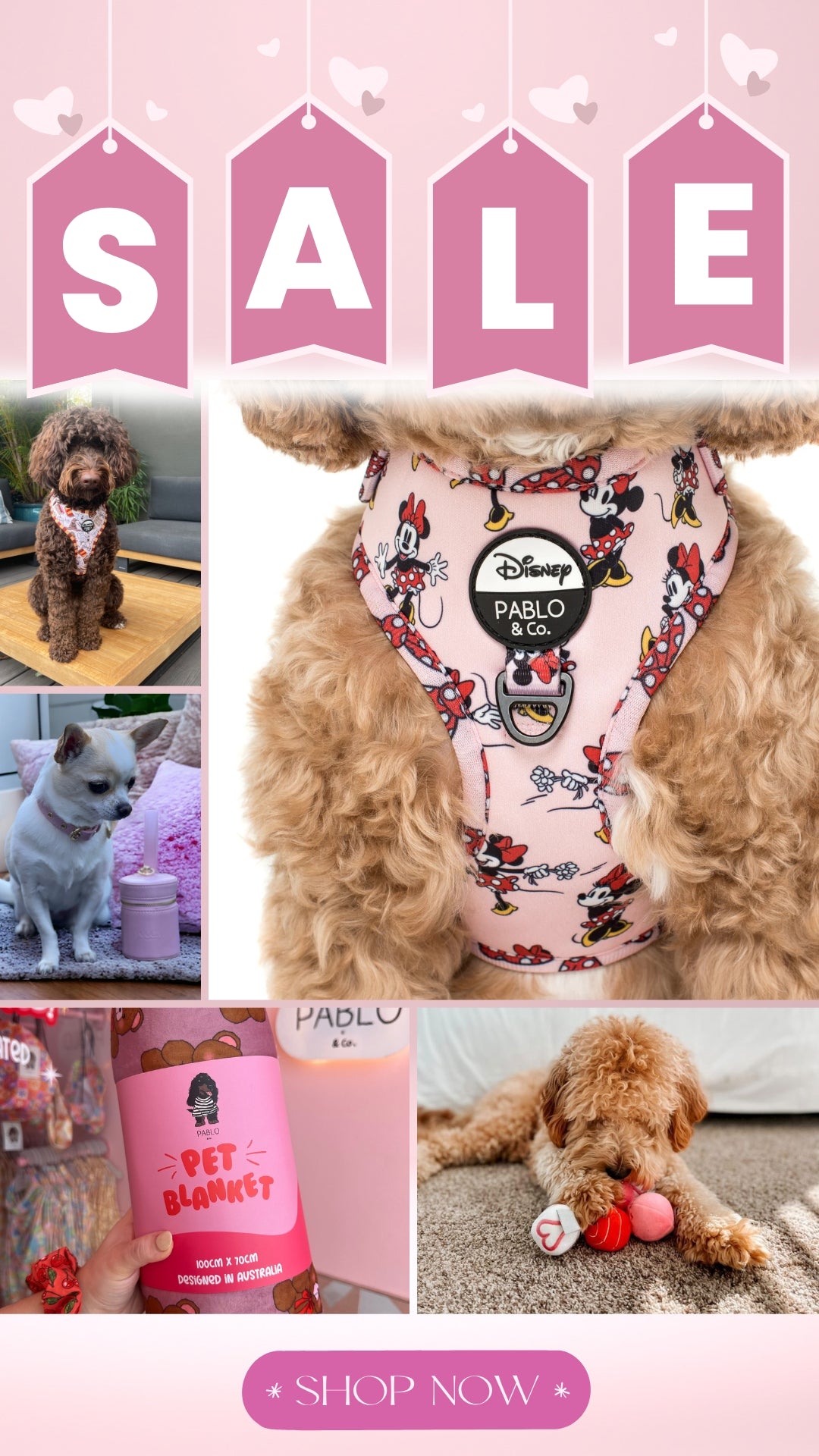 Pooch Luxury