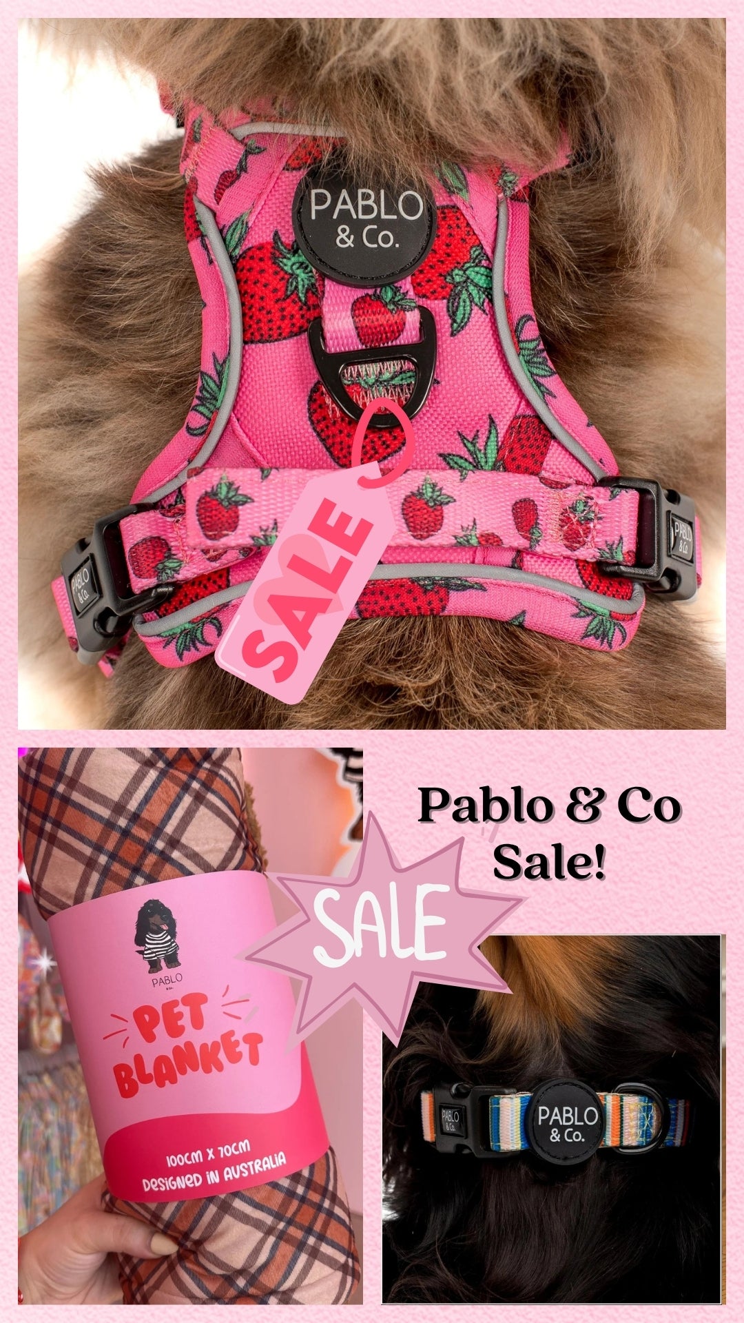 Pooch Luxury
