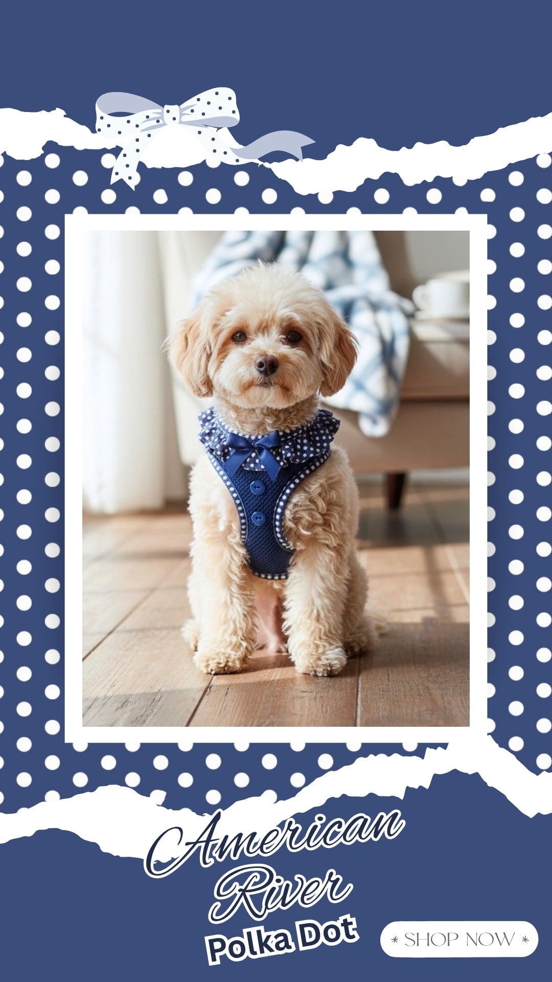 Pooch Luxury