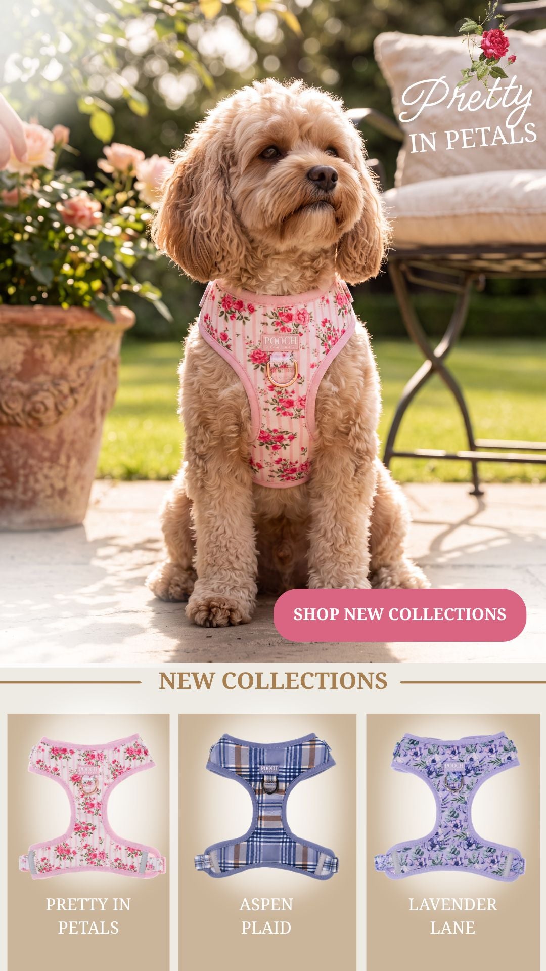 Pooch Luxury