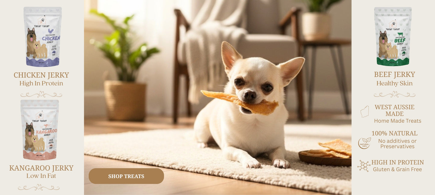 Pooch Luxury
