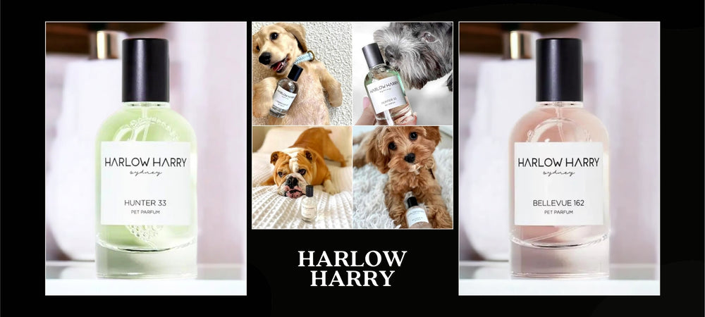 Pooch Luxury