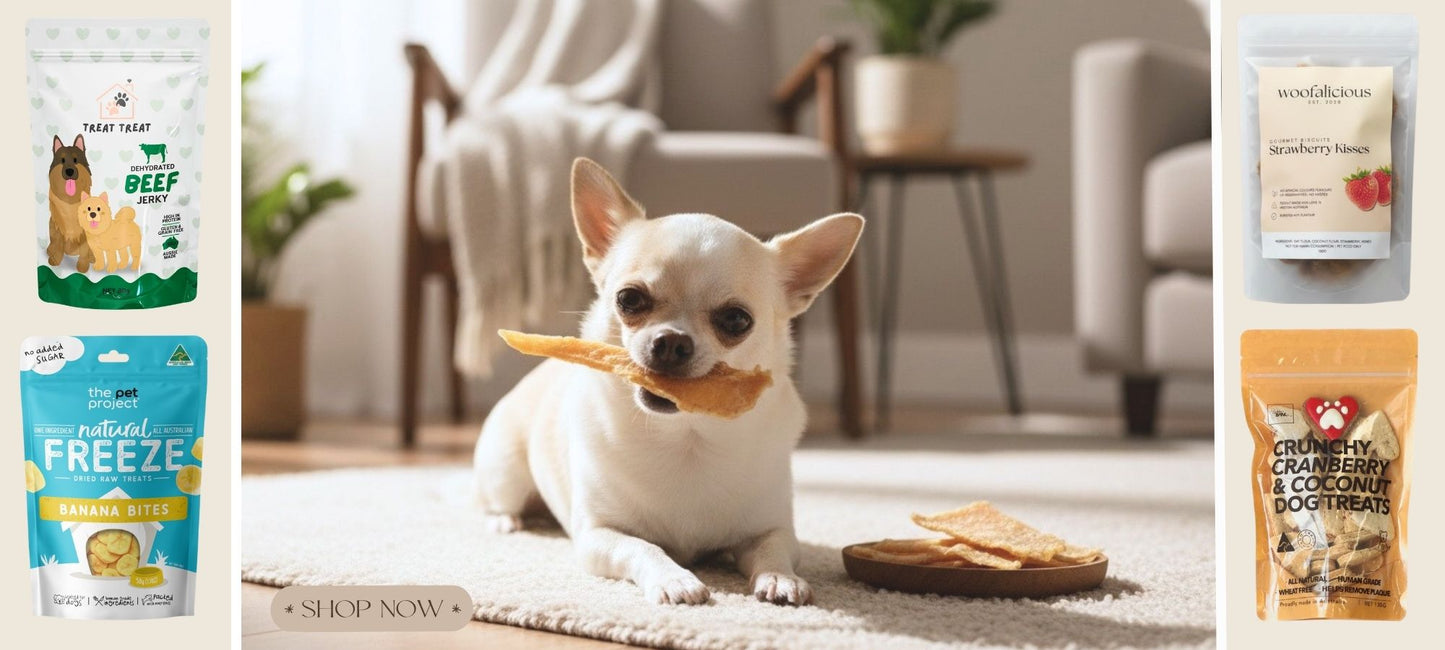 Pooch Luxury