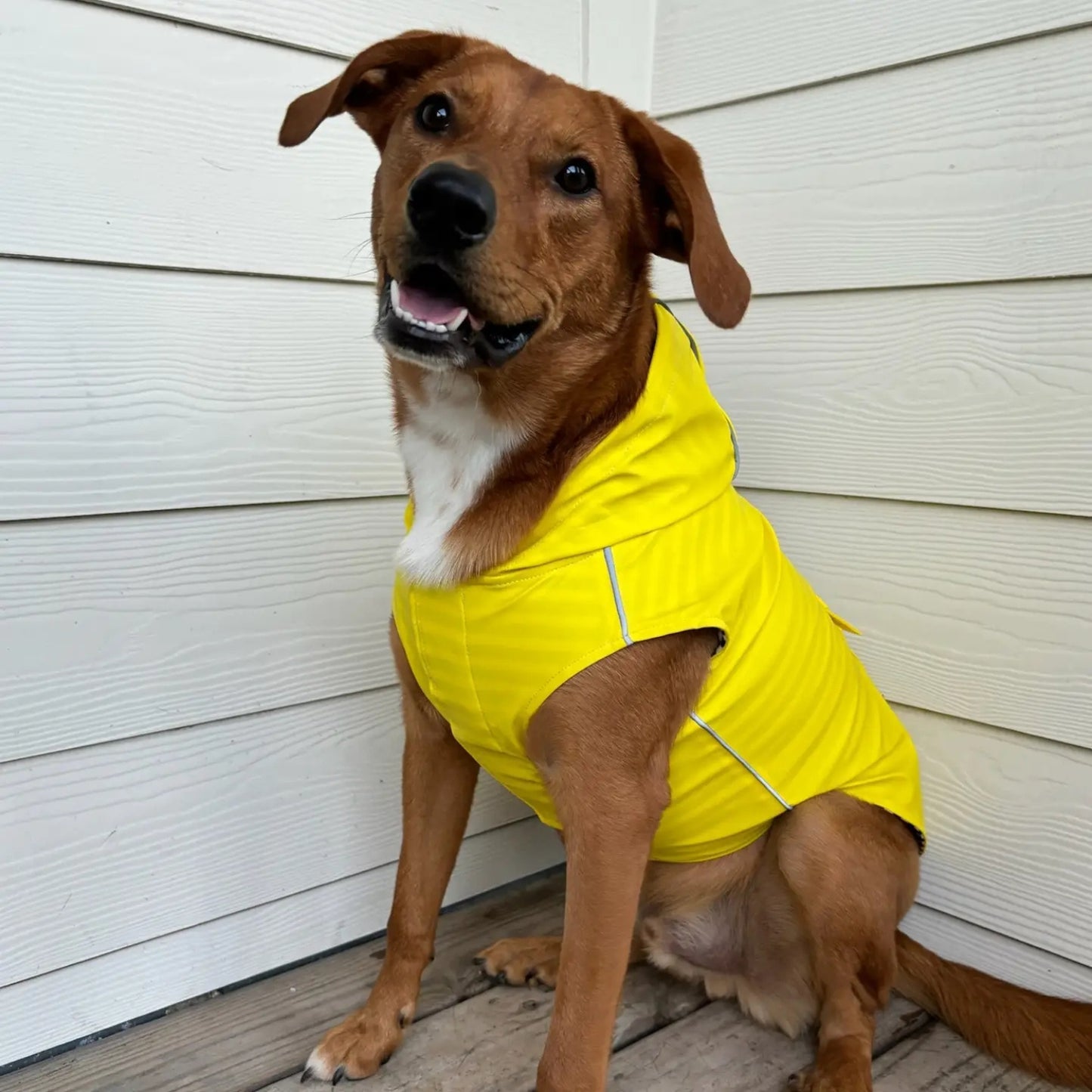 Raincoats