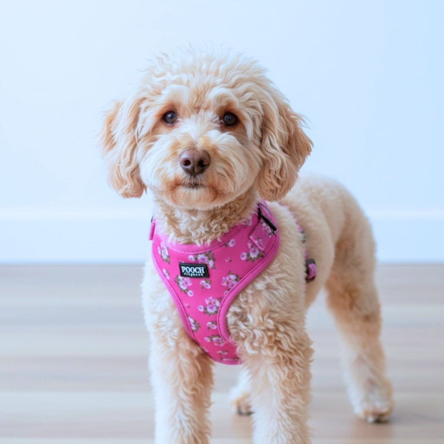 Adjustable Dog Harness - Bouquet of Roses - Pooch Luxury