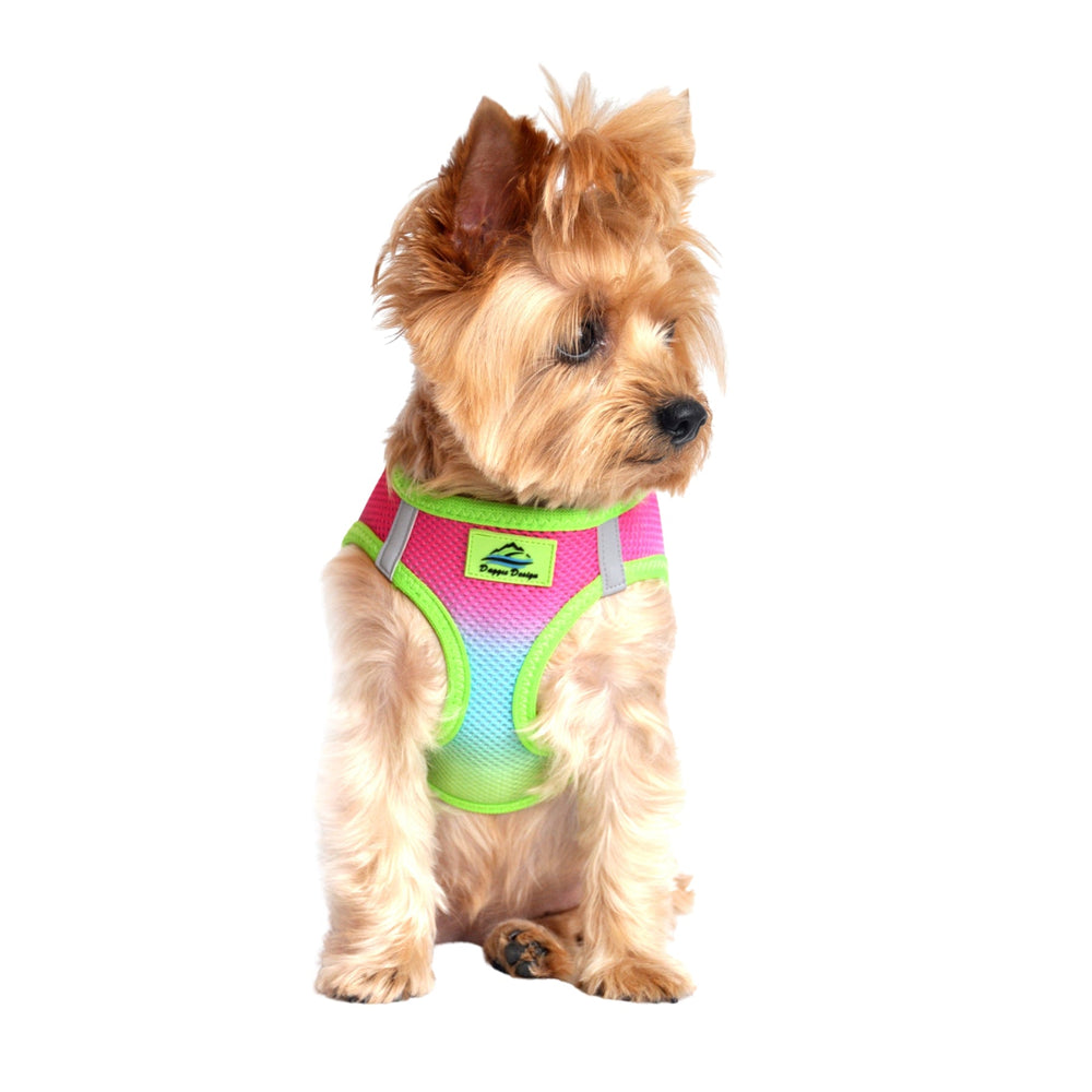 American River Choke Free Dog Harness Ombre Collection - Rainbow - Pooch Luxury
