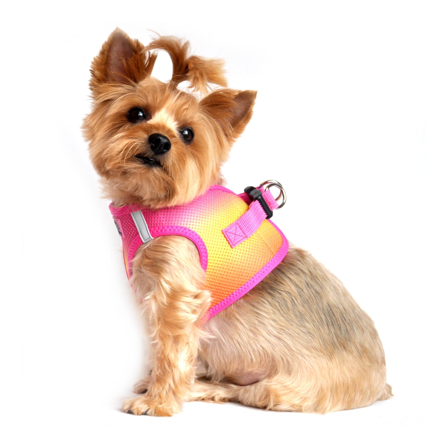 American River Choke Free Dog Harness Ombre Collection Raspberry Pink Orange Pooch Luxury