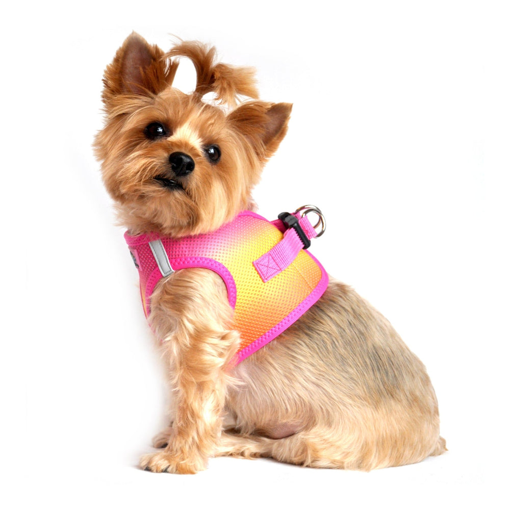 
                  
                    American River Choke Free Dog Harness Ombre Collection - Raspberry, Pink & Orange - Pooch Luxury
                  
                