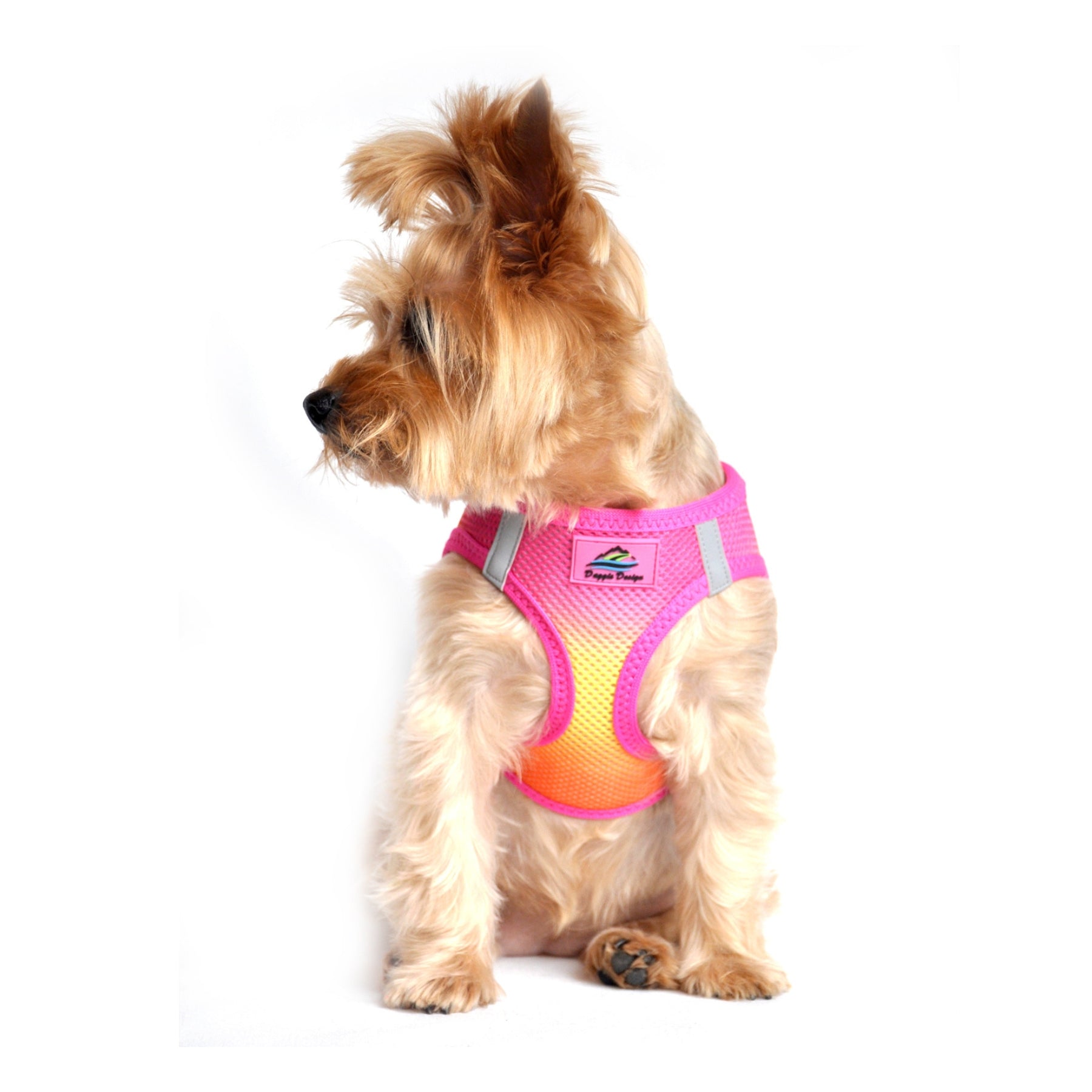 American River Choke Free Dog Harness Ombre Collection Raspberry Pink Orange Pooch Luxury