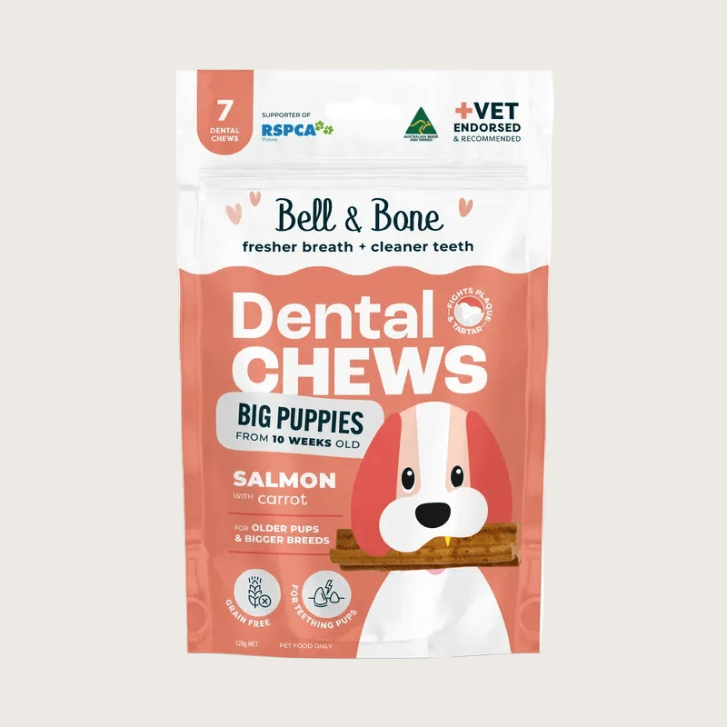 Bell & Bone Puppy Dental Chew - Salmon & Carrot - Pooch Luxury