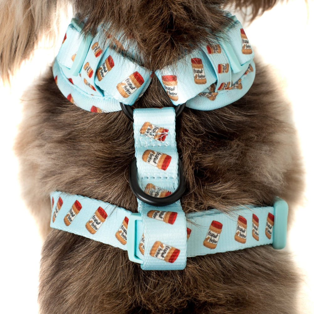 
                  
                    Blue Peanut Butter Adjustable Dog Harness - Pooch Luxury
                  
                