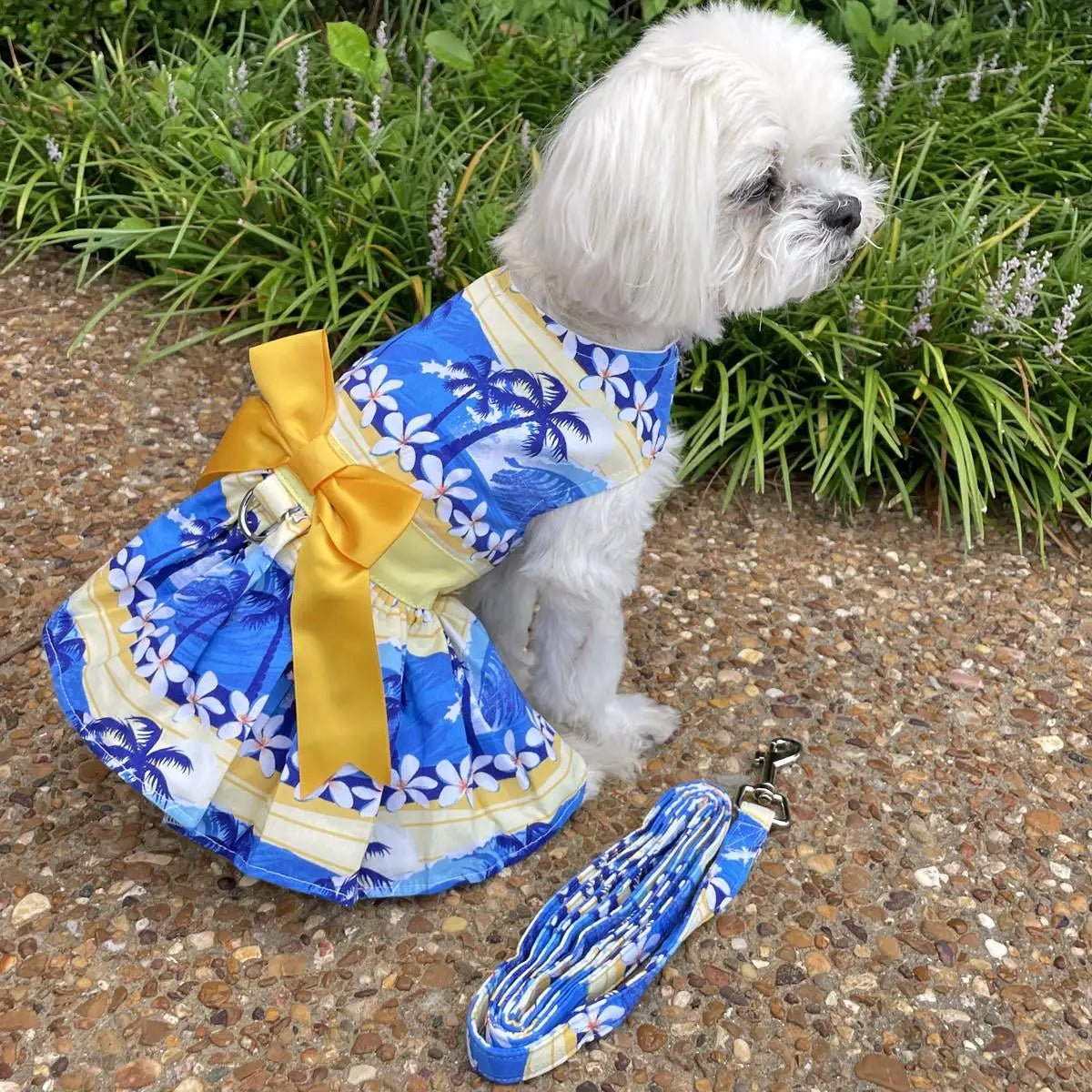 Catching Waves Dog Dress with Matching Leash - Pooch Luxury