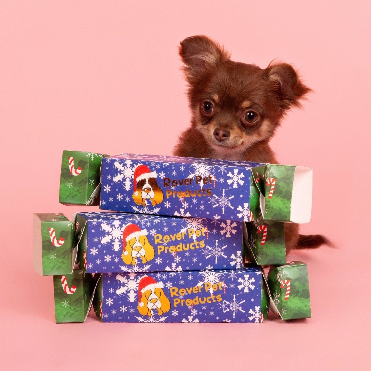 Christmas Bon Bon 2024 Dog Treat - Pooch Luxury