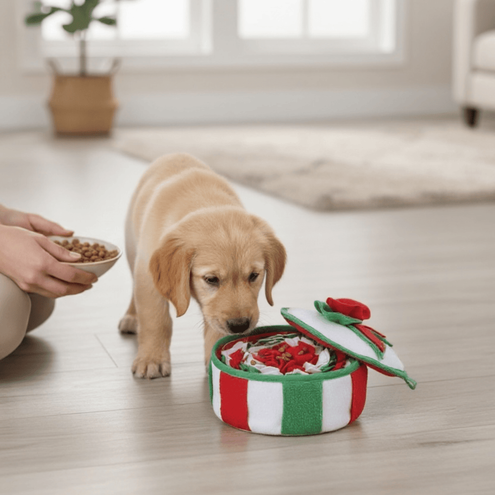 Christmas Snuffle Bowl - Pooch Luxury