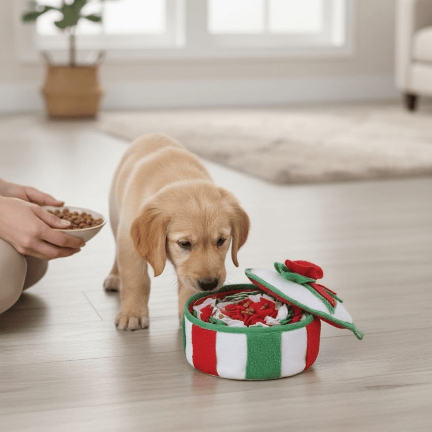 Christmas Snuffle Bowl - Pooch Luxury