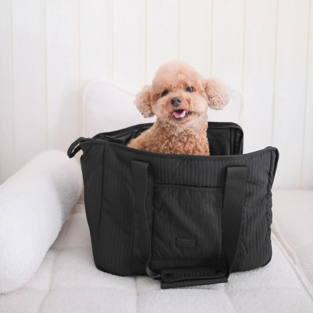 City Pet Carrier - Black - Pooch Luxury