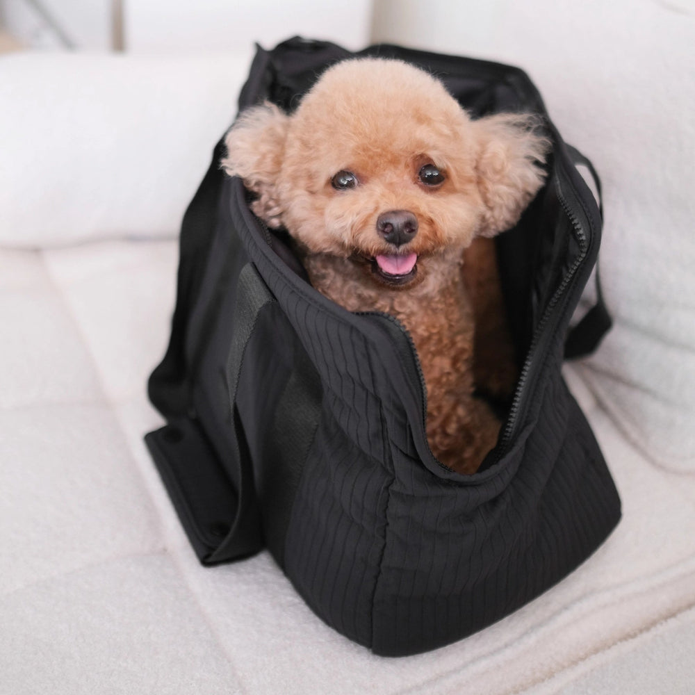 
                      
                        City Pet Carrier - Black - Pooch Luxury
                      
                    