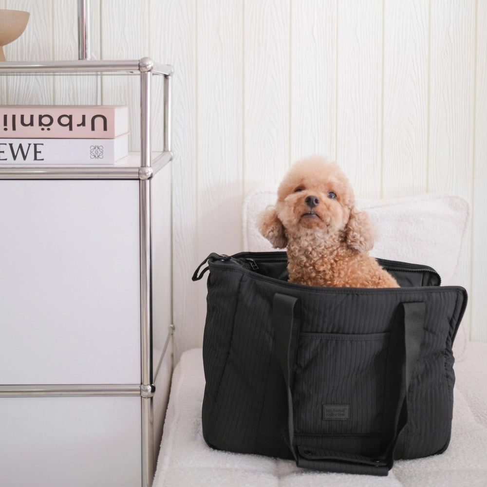 City Pet Carrier - Black - Pooch Luxury