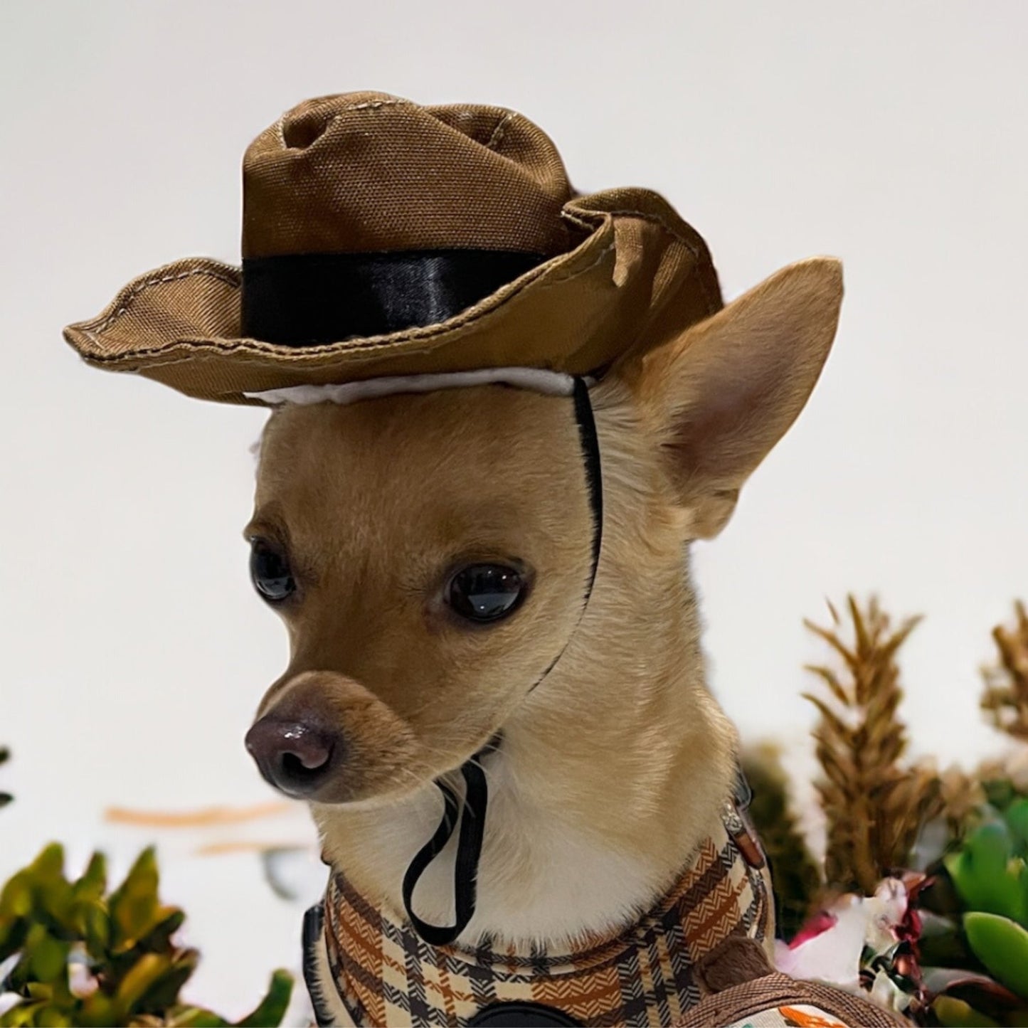 Cowboy Party Hat - Brown - Pooch Luxury