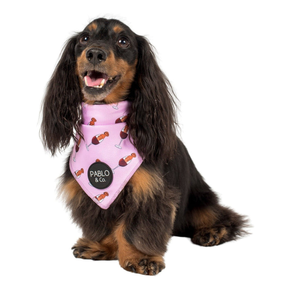 
                      
                        Dachshunds & Wine Dog Bandana - Pooch Luxury
                      
                    