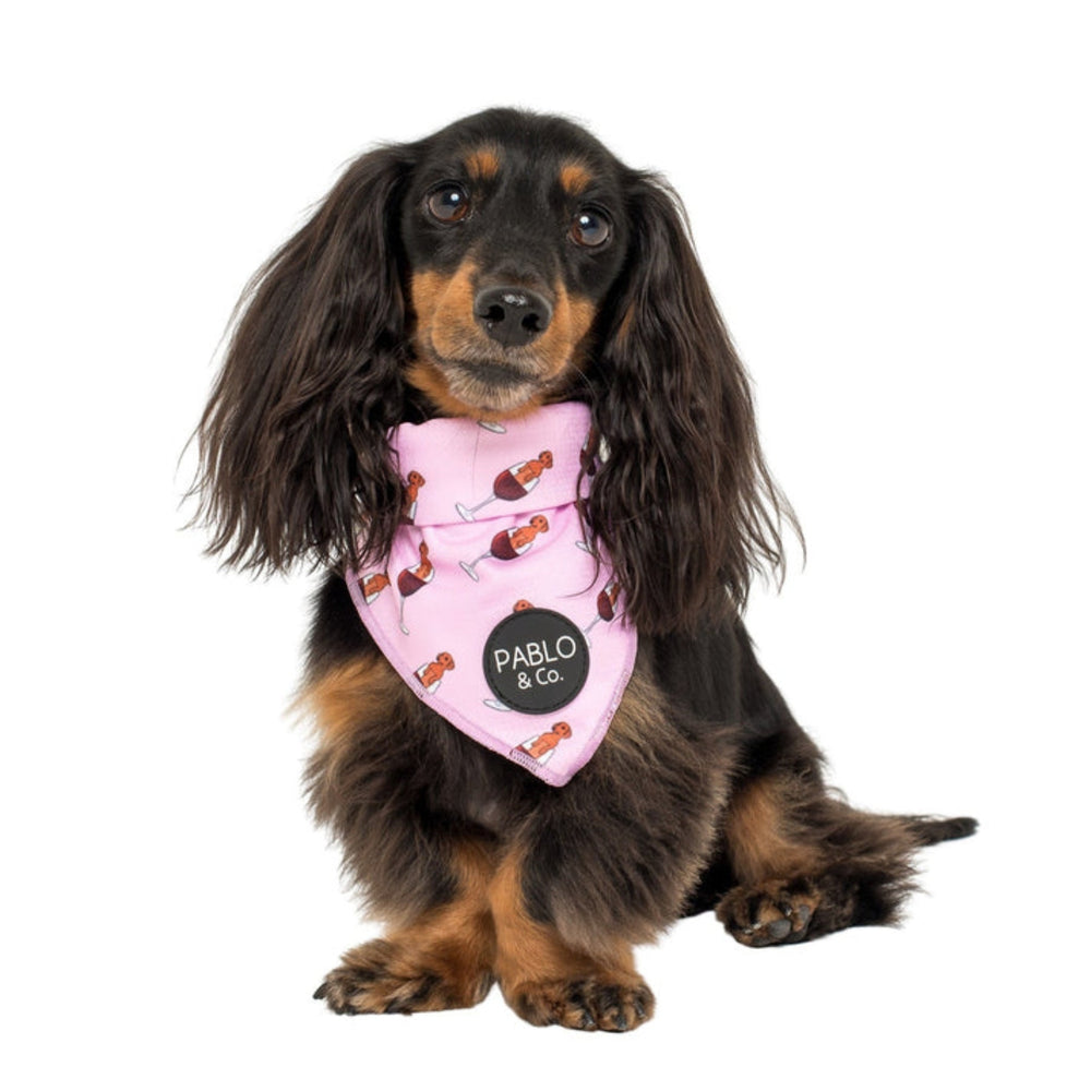 Dachshunds & Wine Dog Bandana - Pooch Luxury