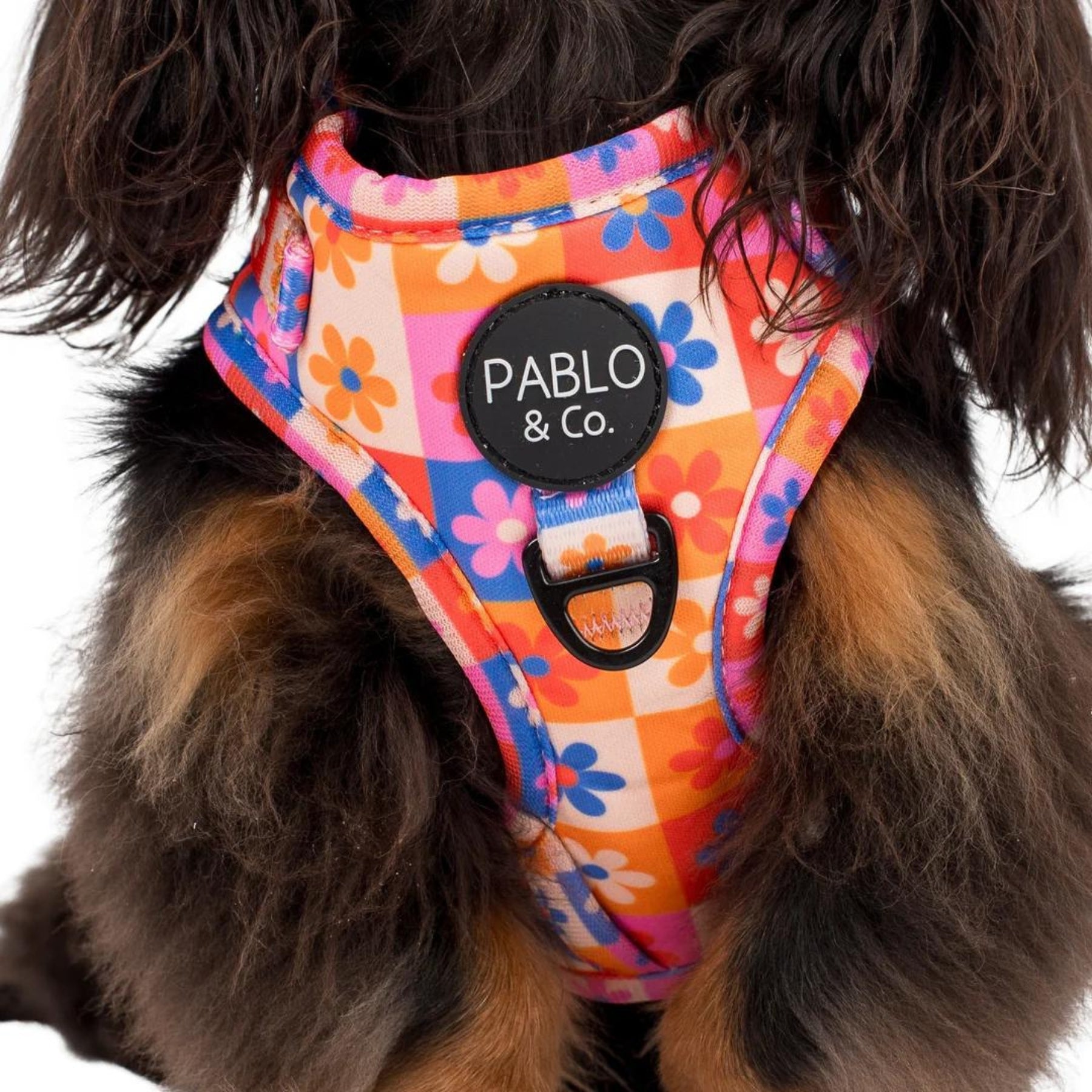 Daisies For Days Adjustable Dog Harness - Pooch Luxury