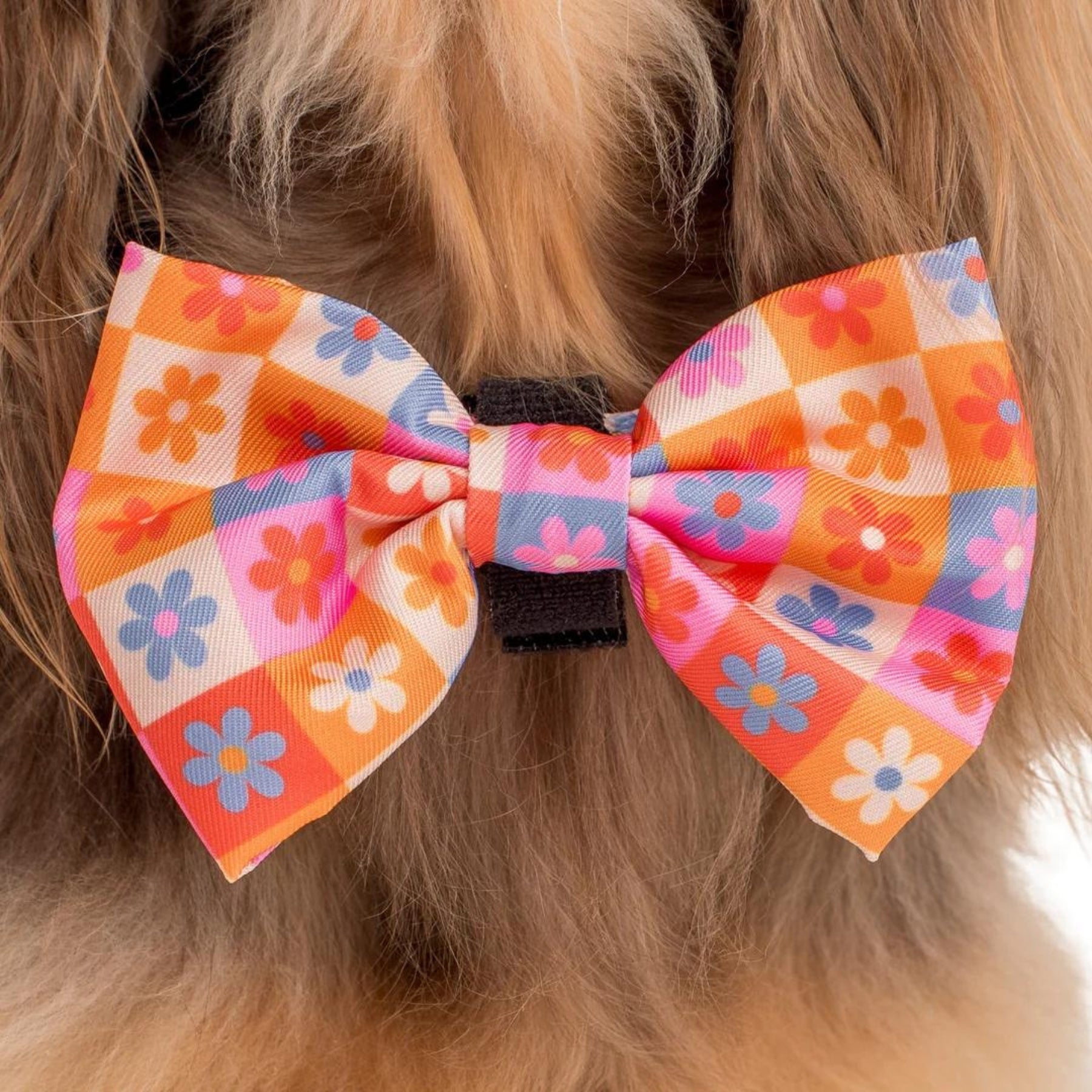 Daisies For Days Bow Tie - Pooch Luxury