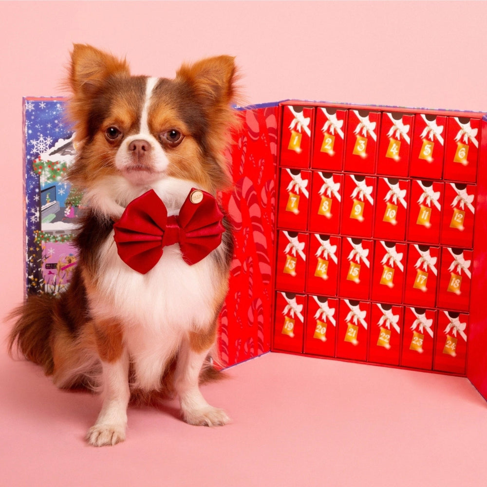 
                      
                        Dog Christmas Advent Calendar 2024 - Pooch Luxury
                      
                    