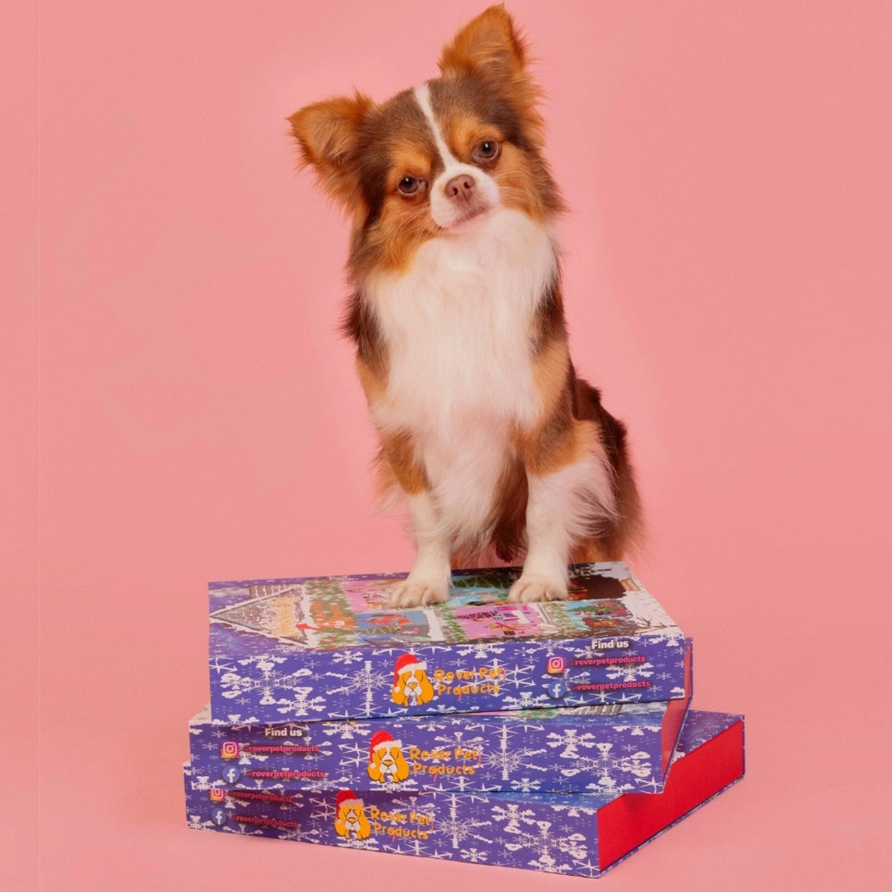 
                      
                        Dog Christmas Advent Calendar 2024 - Pooch Luxury
                      
                    