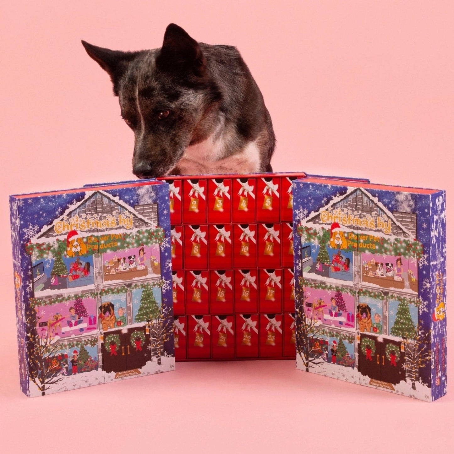 Dog Christmas Advent Calendar 2024 - Pooch Luxury