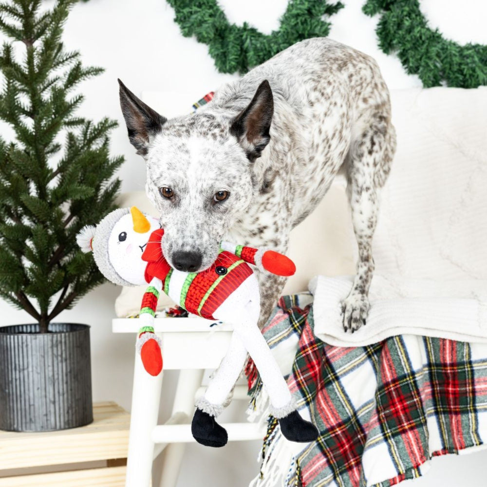 
                      
                        Fringe Studio Too Cute To Chill Christmas Dog Toy - Pooch Luxury
                      
                    