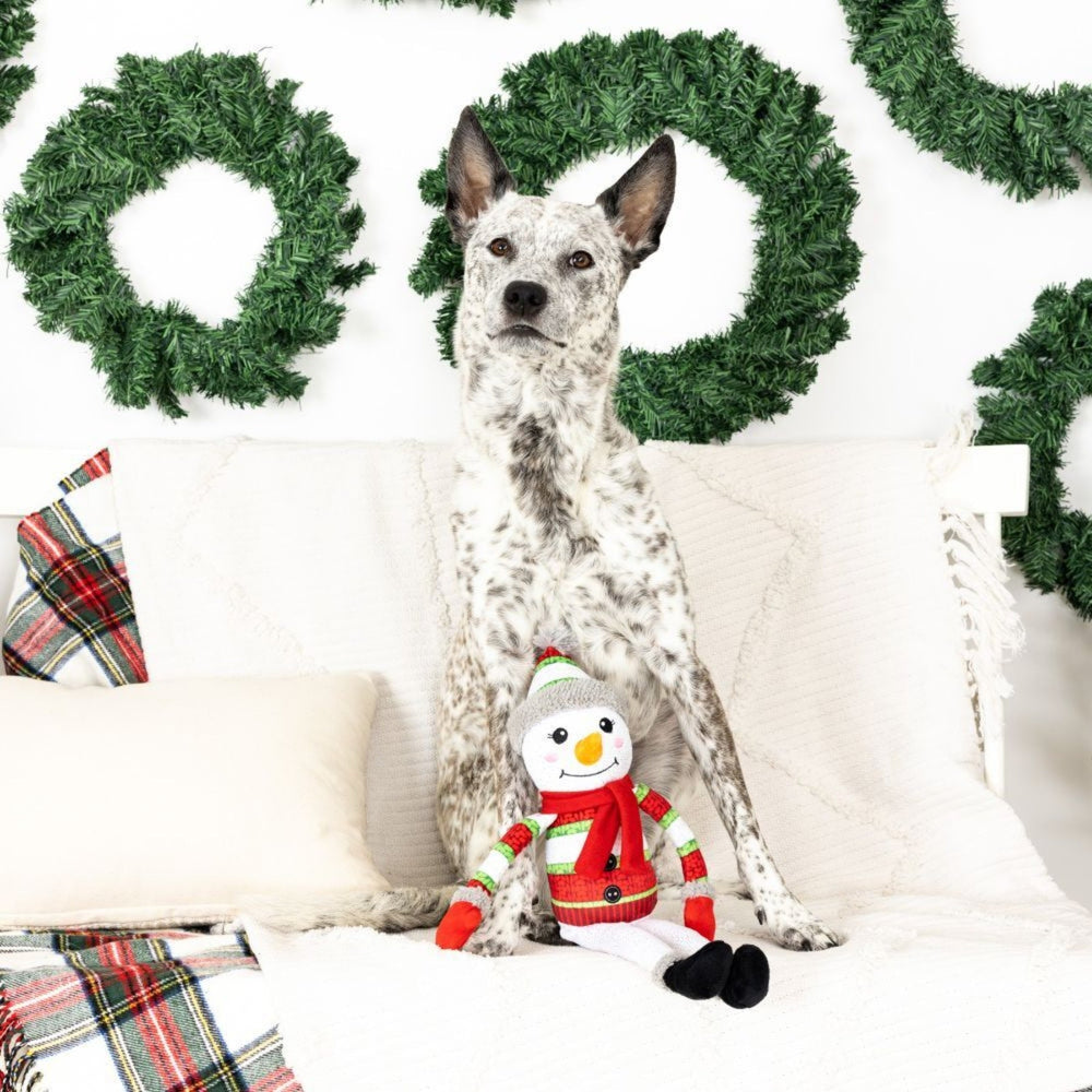 
                      
                        Fringe Studio Too Cute To Chill Christmas Dog Toy - Pooch Luxury
                      
                    