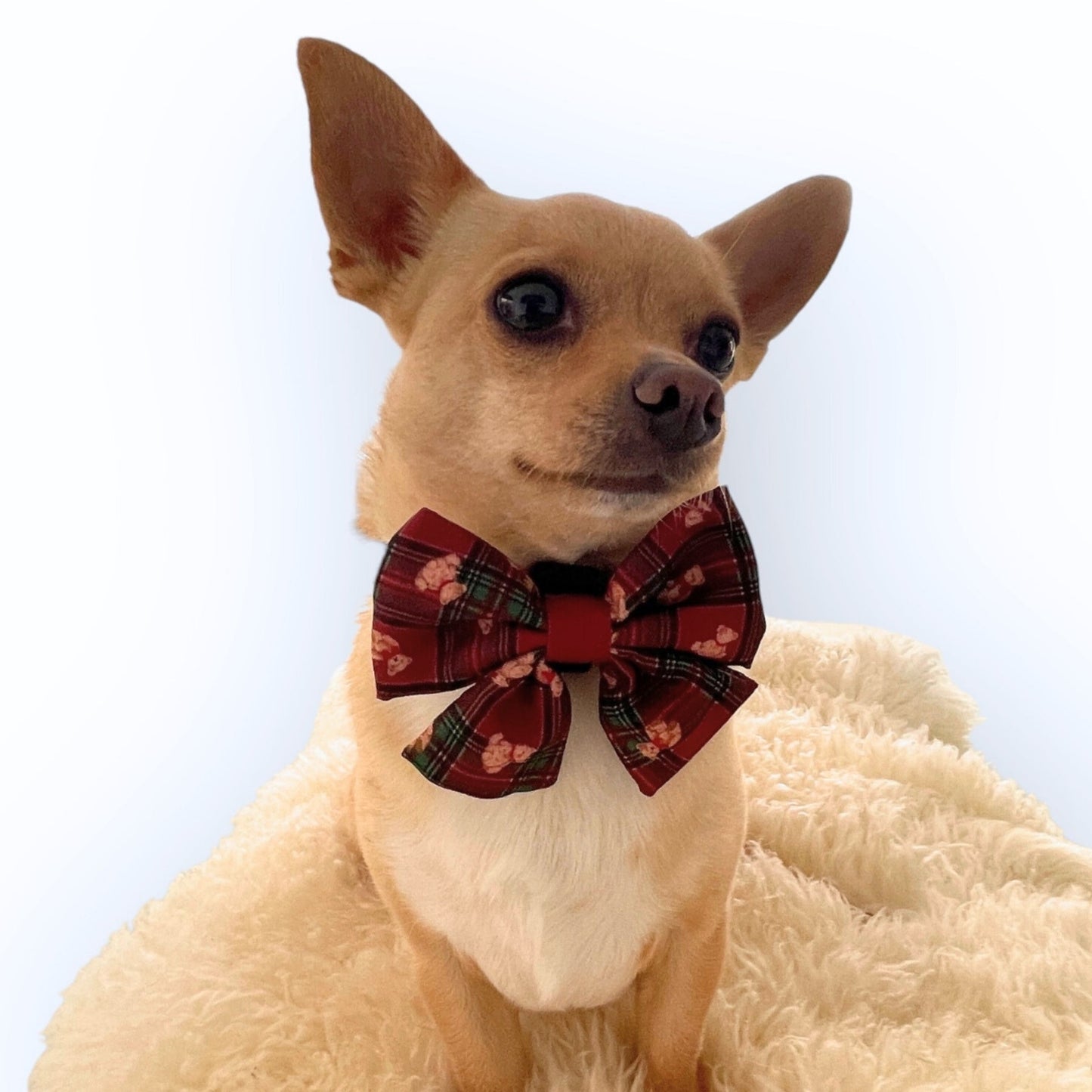 Highland Bear Sailor Bow Tie - Pooch Luxury