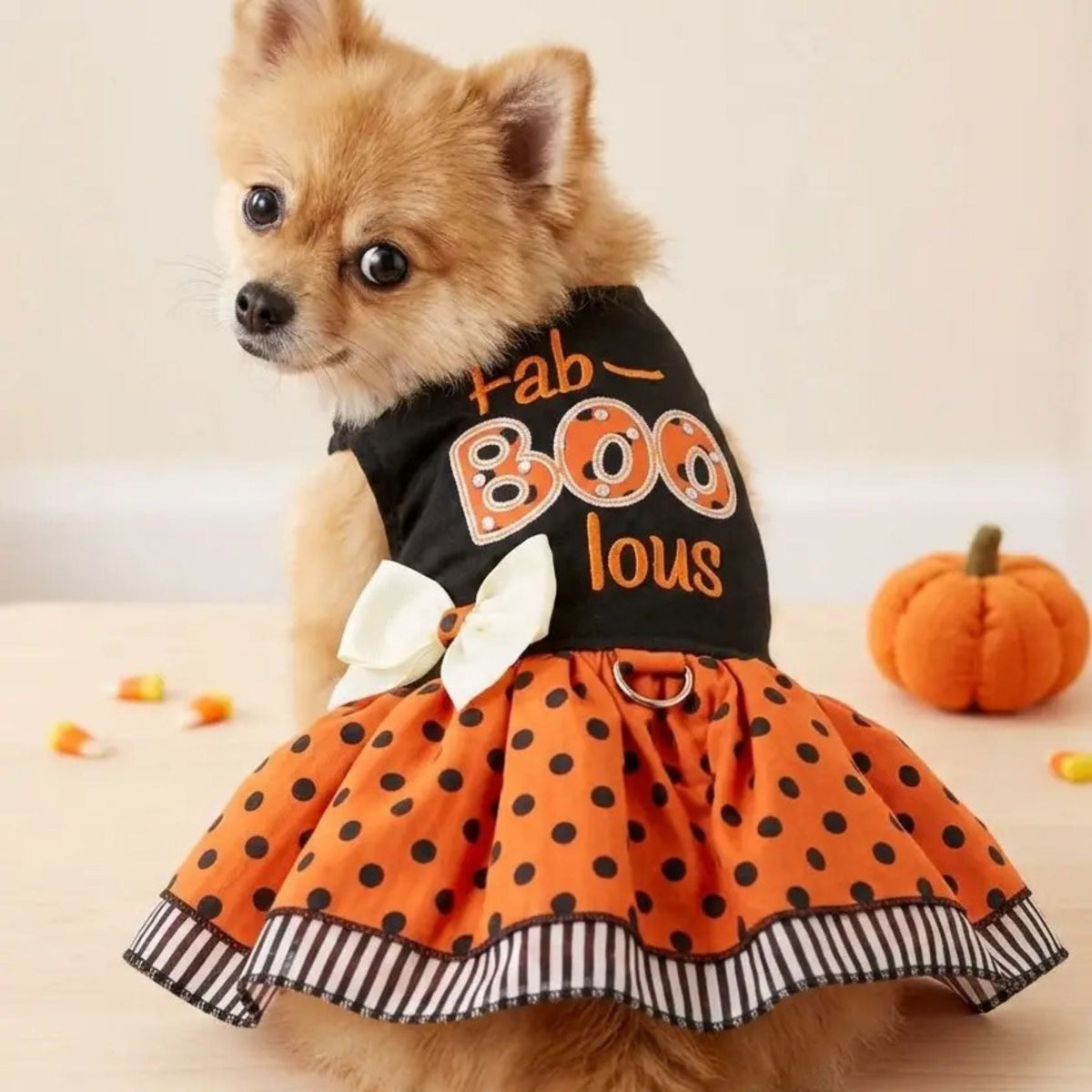 Holiday Dog Harness Dress -Fab-BOO-lous - Pooch Luxury