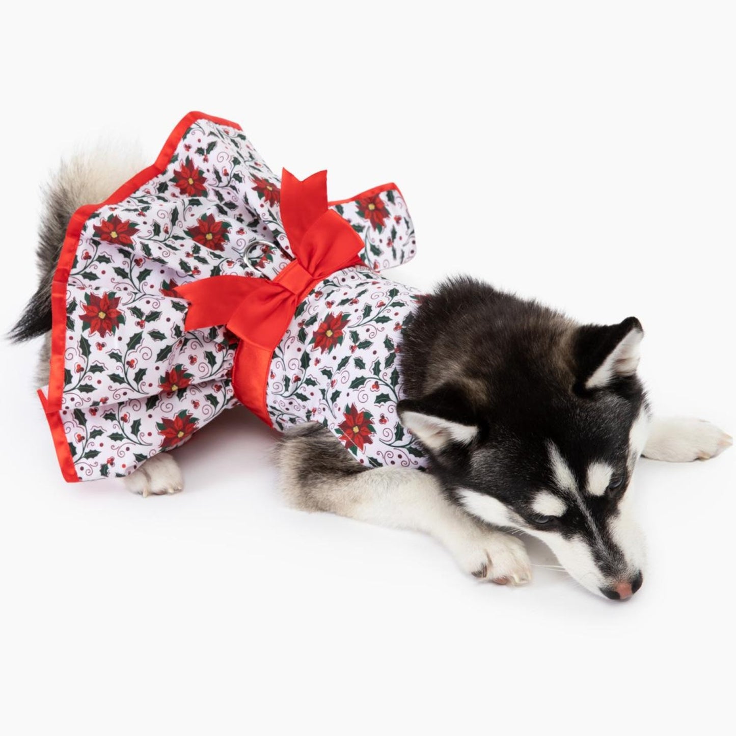 Holiday Dog Harness Dress - Holly - Pooch Luxury