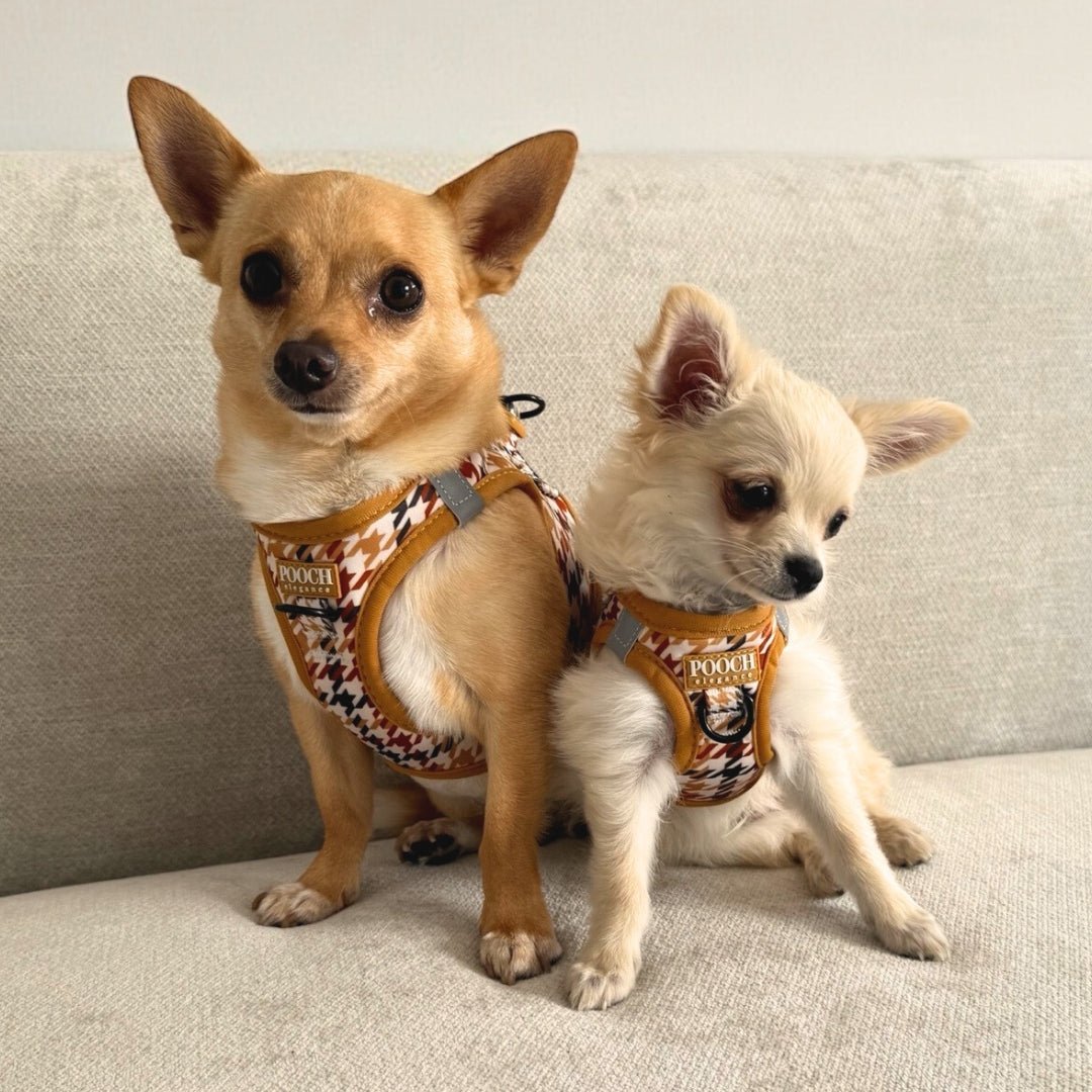 Houndstooth - Beau Step In Harness - Pooch Luxury