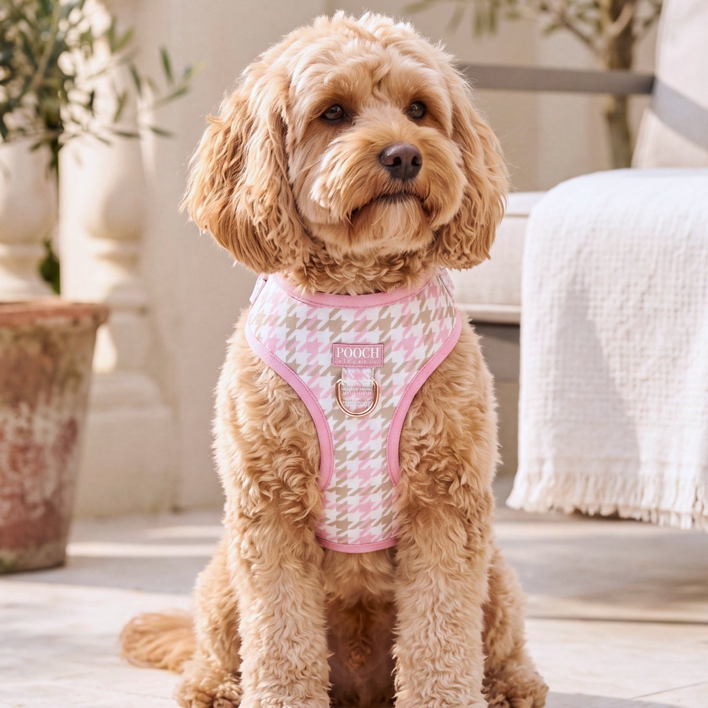 Houndstooth - Belle Adjustable Dog Harness - Pooch Luxury