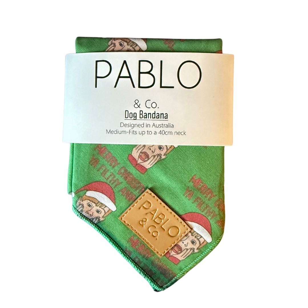 Merry Christmas Ya Filthy Animal Bandana - Pooch Luxury