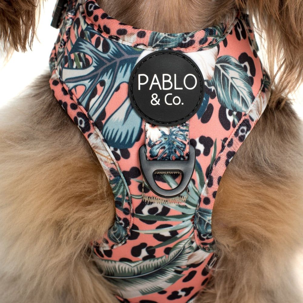 
                      
                        Palm Beach Adjustable Dog Harness - Pooch Luxury
                      
                    